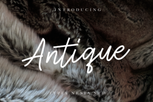 Antique Font: A Modern Script for Web Design