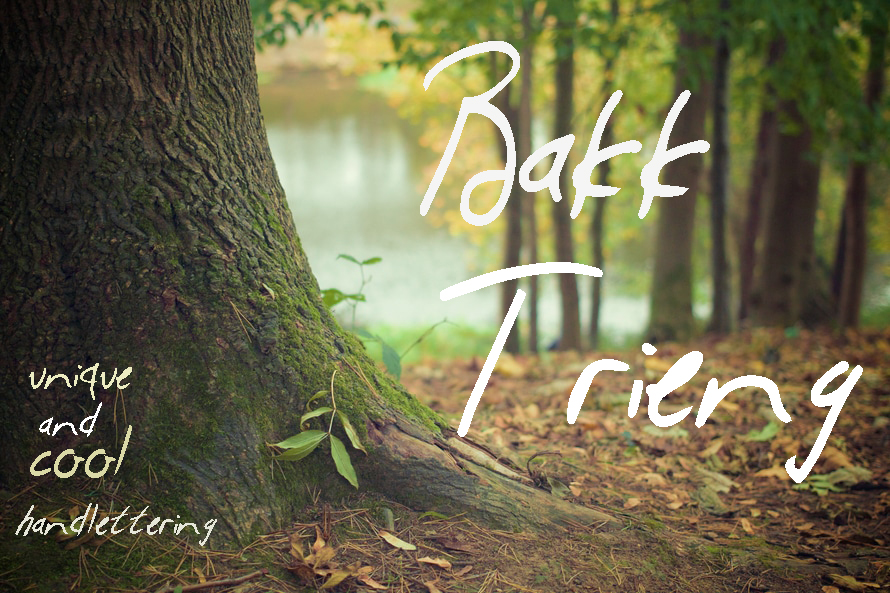 Bakk Trieng Font: A Web Designer’s Review