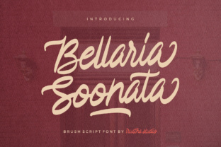 Bellaria Soonata: A Warm Script Font for Branding