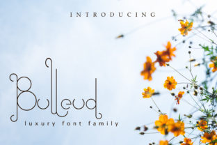 Bulleud Font: Elevate Your Web Design