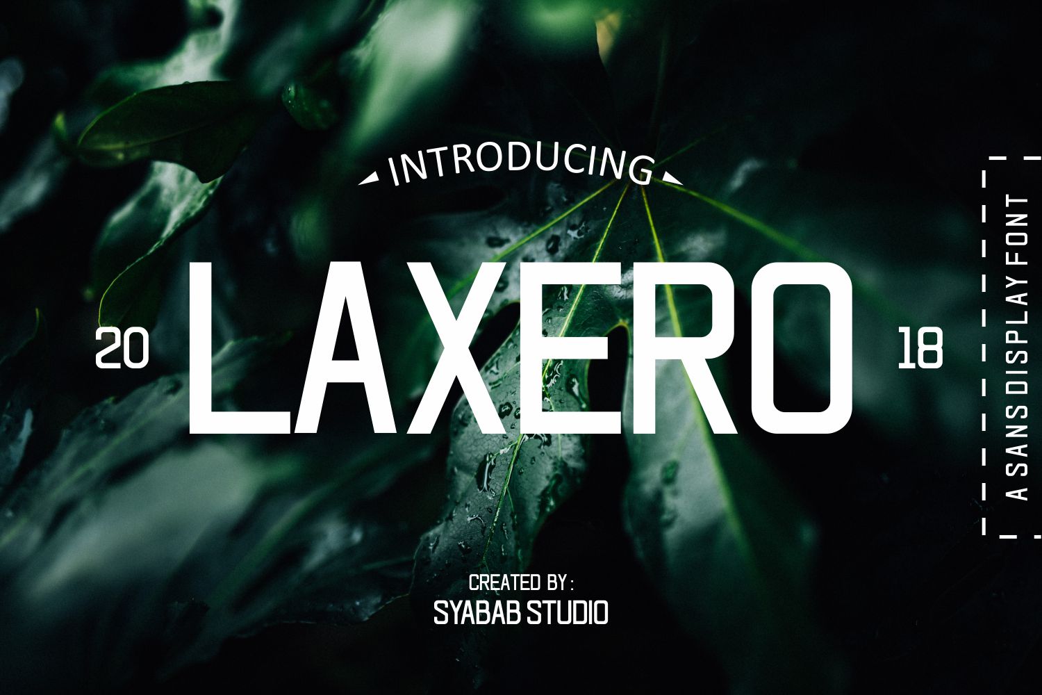 Laxero Typeface: Bold Script for Web Design