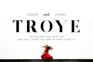 Troye Trio: A Versatile Typeface for Editorial Design